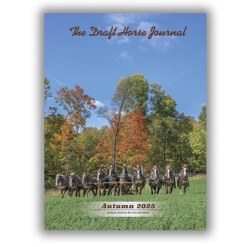 Draft Horse Journal